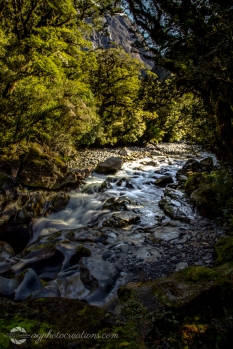 River in Fiordland National Park New Zealand
