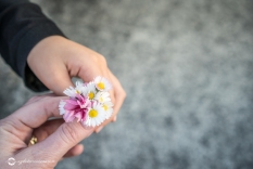 Little Girl Giving Mother Flowers Picked in the Park, Close Up of Hands with Copy Space